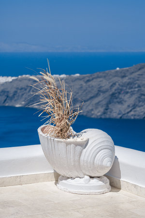 Close-up view of the rooftop and Flower pot decoration of traditional buildings in Santorini island, Greeceの写真素材