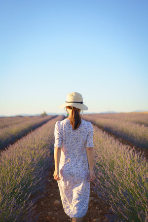 Young Chinese woman in white dress with a hat, walking in lavender field.の写真素材
