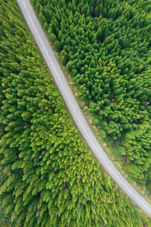 Aerial view of curved asphalt road on the mountainの写真素材