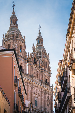Close up view of Salamanca Cathedralの写真素材