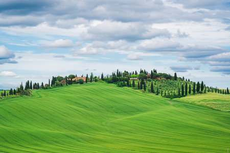 Amazing Tuscany rural landscape in Crete Senesi, landscape with green rolling hills of countryside farmの写真素材