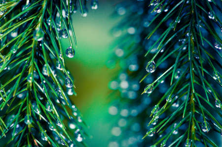 Raindrops falling on my leaves   Feel like Christmas is coming 