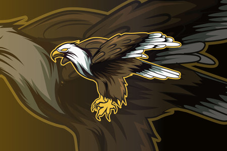 Eagle e sport logo designのイラスト素材