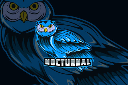 Owl e sport logo designのイラスト素材