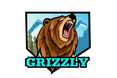 Bear mascot e sport logo vectorのイラスト素材