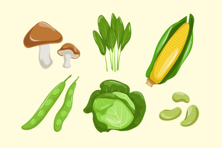 Set Collection of Vegetable Elementのイラスト素材