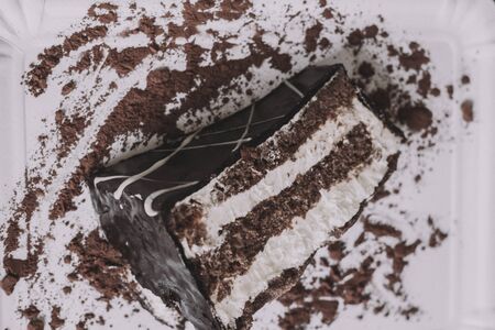 A piece of dark chocolate cake with two cream layers on a white background and chocolate powder