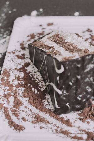 A piece of dark chocolate cake with two cream layers on a white background and chocolate powderの写真素材