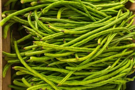 green fresh snake beansの写真素材