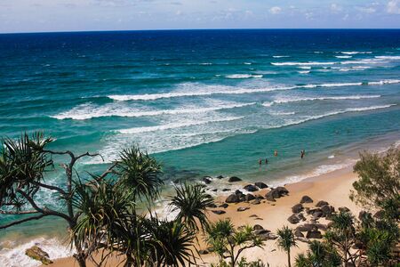 Sandy beach with palm trees, Gold coast, Australiaの写真素材