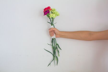 Hand holding a bunch of color carnationの写真素材