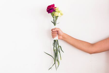 Hand holding a bunch of color carnationの写真素材