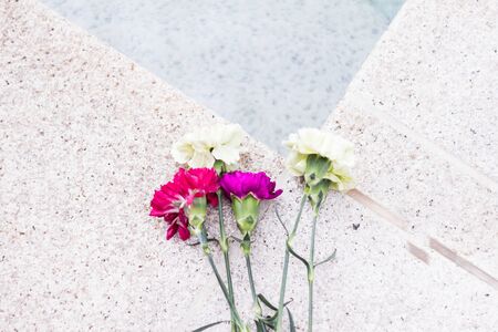 Color carnation flower bouquet on beige background.の写真素材