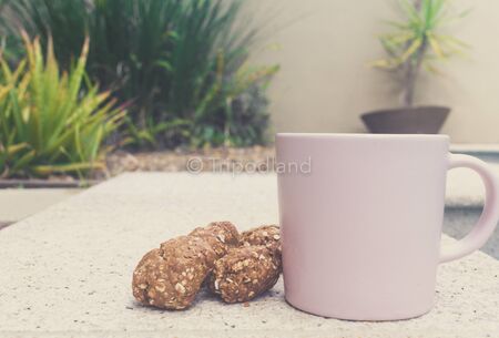 Homemade oat cookies, a cup of coffee on beige background on green gardenの写真素材