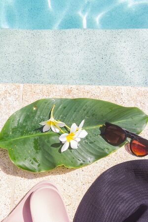 Green leaf, sunglasses and white flowers near to the edge of pool