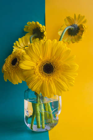 Beige gerbera flowers bunch on beige backgroundの写真素材