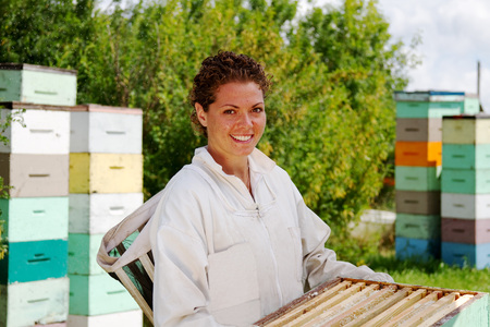 Worker replacing beehives in the fieldのeditorial素材