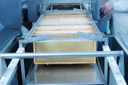 Honey being extracted from honeycomb frames