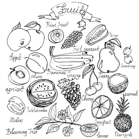 Hand drawn vector fruits set with lettering.のイラスト素材