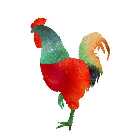 Watercolor  Rooster. illustration with splash watercolor textured background. 2017 is the year of Red Fire Chicken on Chinese zodiac.の写真素材