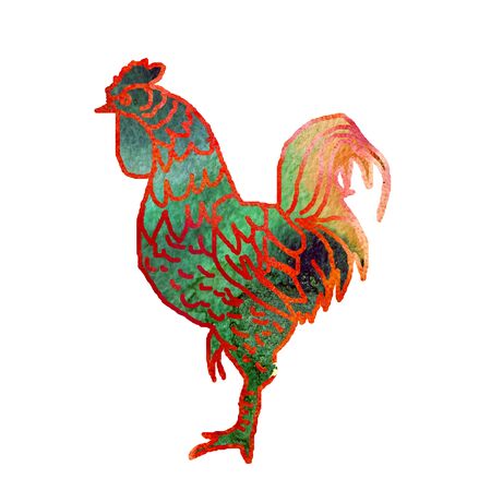 Watercolor  Rooster. illustration with splash watercolor textured background. 2017 is the year of Red Fire Chicken on Chinese zodiac.の写真素材