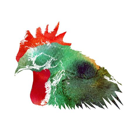 Watercolor  Rooster. illustration with splash watercolor textured background. 2017 is the year of Red Fire Chicken on Chinese zodiac.の写真素材