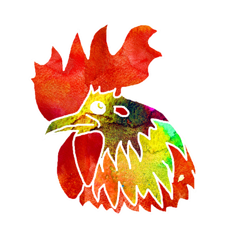 Watercolor  Rooster. illustration with splash watercolor textured background. 2017 is the year of Red Fire Chicken on Chinese zodiac.の写真素材