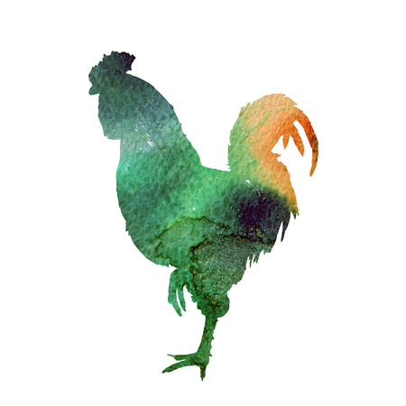 Watercolor  Rooster. illustration with splash watercolor textured background. 2017 is the year of Red Fire Chicken on Chinese zodiac.の写真素材