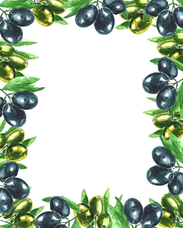 Watercolor olives. Hand drawn illustration. Frame. Border.の写真素材