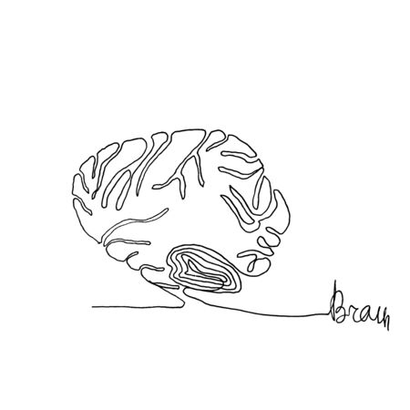 Continuous one line drawing. Anatomy humans brain. Minimalism style. Text Brain. Vector Ink illustration for your design,logo, card, banner, poster, flyer.のイラスト素材