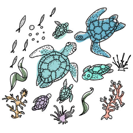 Sea turtles. Hand drawn doodle illustration. Marina life.のイラスト素材