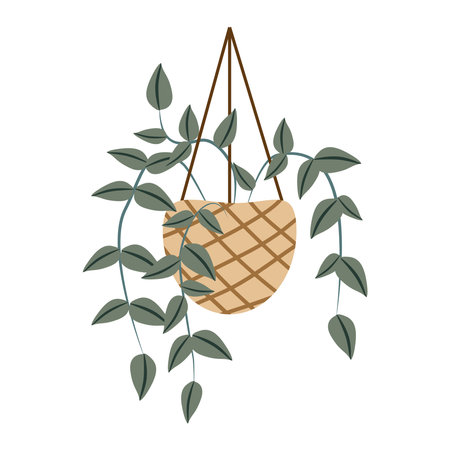 Vector flat illustration. Ornamental house plants in potsのイラスト素材