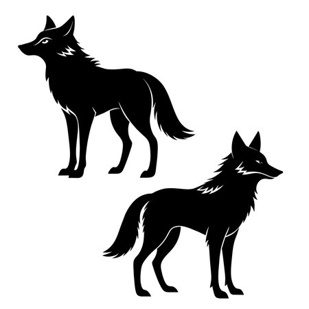 Vector image of a wolf. Isolated on a white background.のイラスト素材
