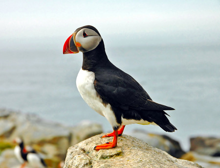 Watching from Aboveの写真素材