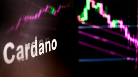 Cardano Cryptocurrency token. crisis and the collapse of prices, the red graph down. The behavior of the cryptocurrency exchanges, concept. Modern financial technologies.の写真素材