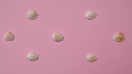 Different seashells on a bright pink background , the concept of holidays by the sea. Background with shellsの写真素材