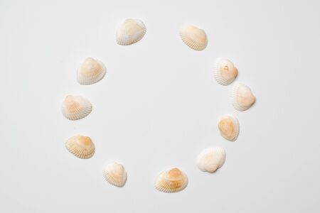 Different seashells on a white background , the concept of holidays by the sea. Background with...