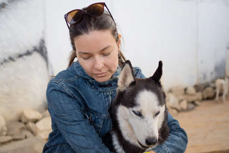 young woman and husky dog, stroke a furry pet. Care for the animals