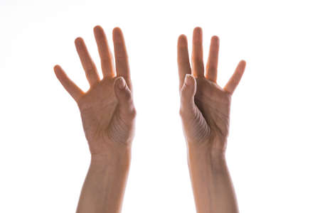 Hand gestures. Elegant female hands reach up, isolated on white,
