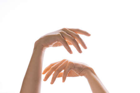 Hand gestures. Elegant female hands reach up, isolated on white,の写真素材