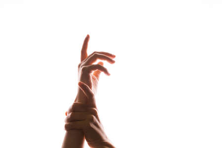 Hand gestures. Elegant female hands one hand stretches forward, the other stops it,の写真素材