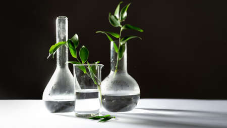 Test tubes flasks and petri dishes, laboratory glassware. Medicine and biological or chemical research,の写真素材