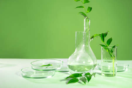 Eco friendly cosmetics, concept. organic products, research and synthesis.の写真素材