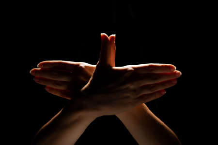 Shadow theater, two hands make the shape of a bird, a symbol of hopeの写真素材