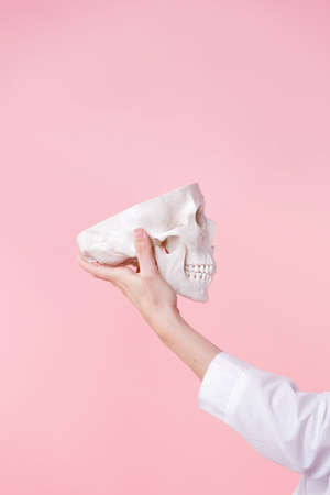 Neuroscience and psychotherapy, head health research. Human brain science, concept,の写真素材