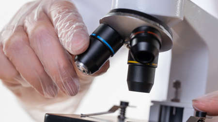 Examination of samples under a microscope, science or training.