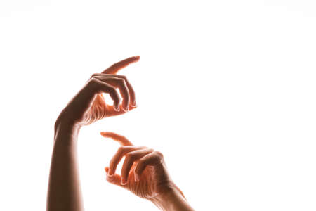 Hand gestures. Elegant female hands point upward, isolated on white,の写真素材
