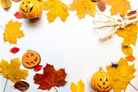 Halloween layout, jack lantern on toy pumpkins and cookies, red and yellow leaves. Top view white backgroundの写真素材