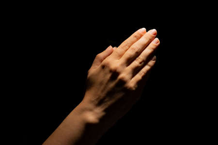 Praying hands on a black background. Light from above. Hands folded in prayer. Hand gesturesの写真素材