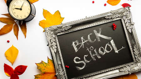Back to school, September is the beginning of training, its time to go to school. Autumn layout with red and yellow maple leaves and an alarm clock, an inscription on a chalkboard on the sideの写真素材
